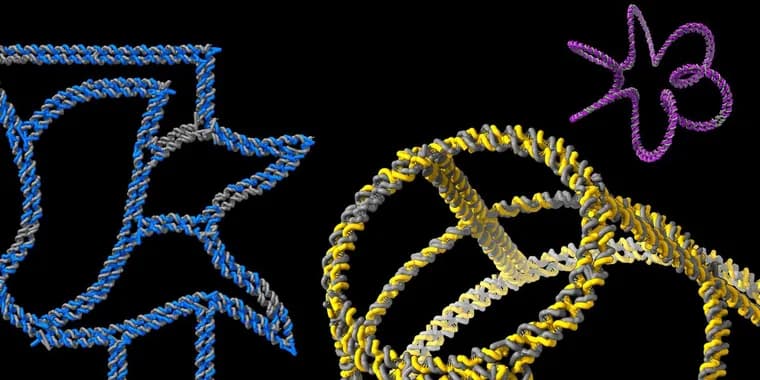 Generative SNUPI: нейросеть проектирует ДНК-оригами по эскизу
