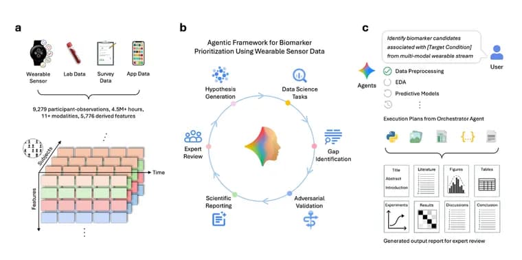Google представила Biomarker Discovery Framework, ИИ для поиска биомаркеров по данным носимых устройств