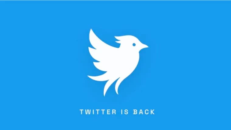 Twitter.now: стартап запустил соцсеть под именем Twitter