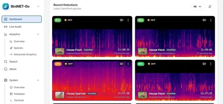 BirdNet-Go превратил камеры видеонаблюдения в определитель птиц по голосу