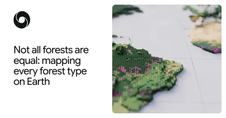 Google DeepMind выпустила карту типов лесов ForTy 2020 с точностью 10 метров