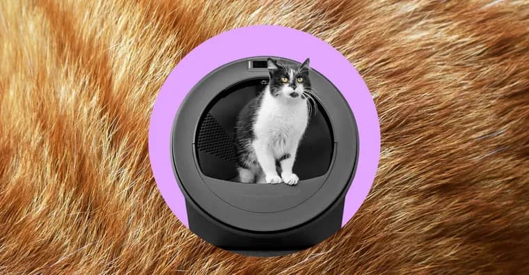 Litter-Robot 5 Pro: дорогой ИИ-туалет не узнаёт своих кошек