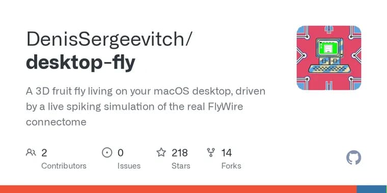 DesktopFly: разработчик оживил 3D-муху на macOS с мозгом из коннектома FlyWire